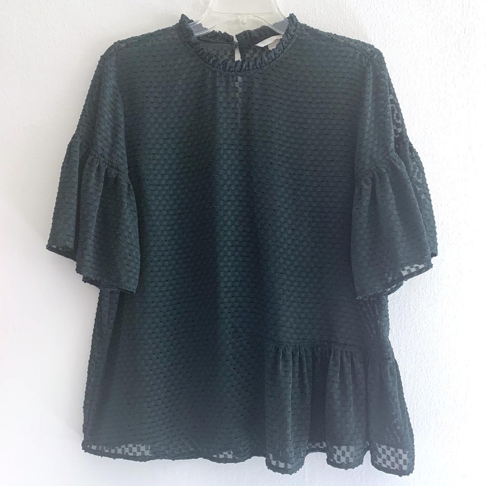 EUC H&M Sheer Ruffle Sleeves Blouse Top